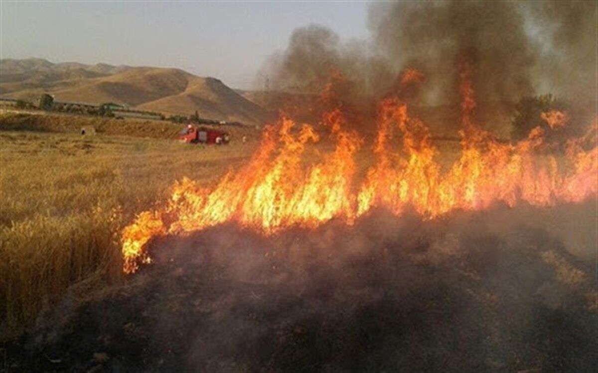 جزئیات تدوین طرح بیمه آتش‌سوزی مزارع و باغ‌ها