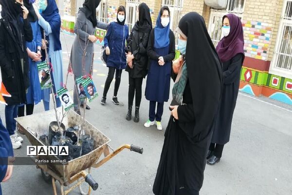 یادسبز شهدا در بزرگداشت روز درختکاری منطقه ۱۳