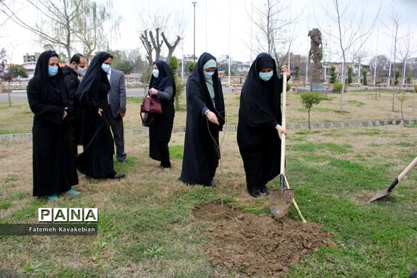 کاشت نهال به یاد زنان شهید، جانباز و آزاده مازندران