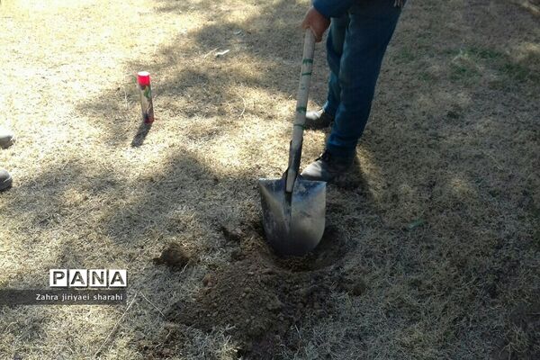 اهدای  رایگان نهال در بوستان‌های خاورشهر به مناسبت جشن تولد زمین