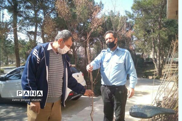 اهدای  رایگان نهال در بوستان‌های خاورشهر به مناسبت جشن تولد زمین