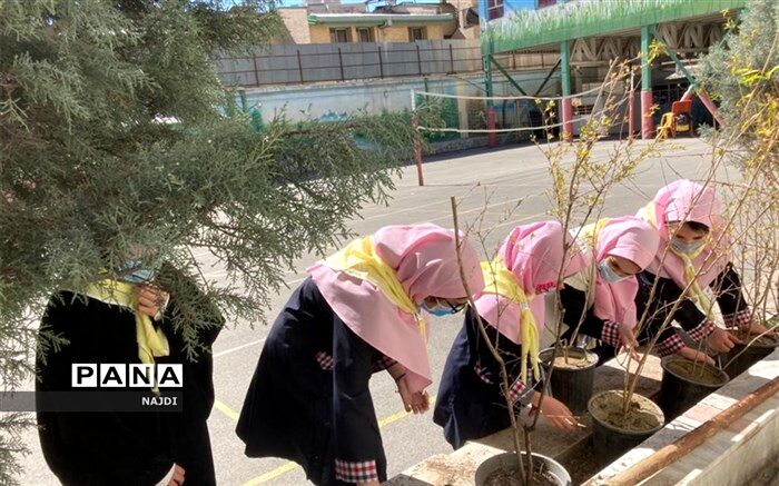 مشارکت  پیشتازان در کاشت نهال نمونه ای عملی از اجرای منش های  ارزنده  سازمان دانش آموزی است