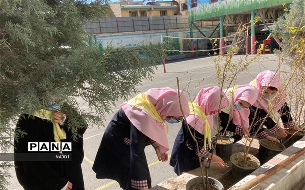 مشارکت  پیشتازان در کاشت نهال نمونه ای عملی از اجرای منش های  ارزنده  سازمان دانش آموزی است