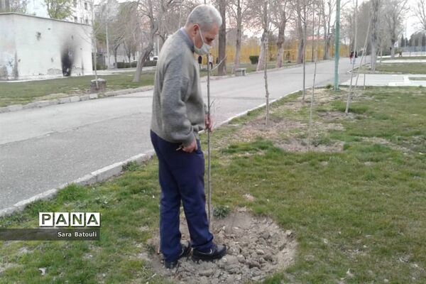 روز درختکاری در منطقه 18 شهر تهران