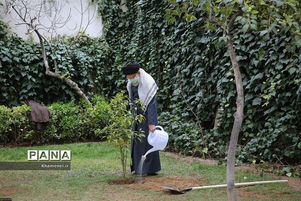 کاشت دو نهال میوه در روز درختکاری توسط رهبر انقلاب