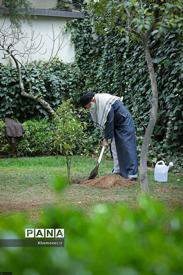 کاشت دو نهال میوه در روز درختکاری توسط رهبر انقلاب