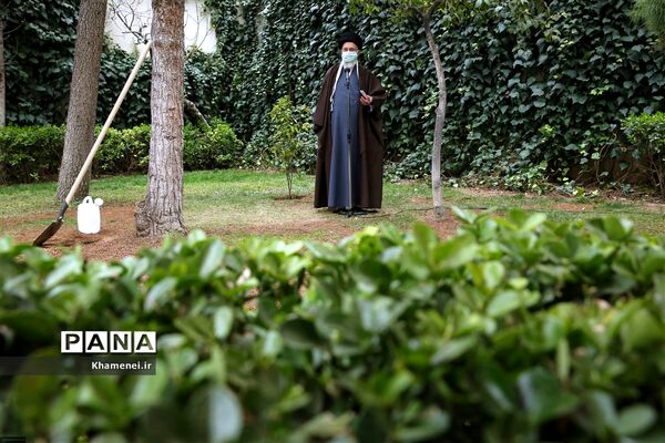 کاشت دو نهال میوه در روز درختکاری توسط رهبر انقلاب