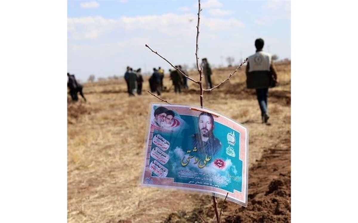 غرس بیش از هزار اصله درخت مثمربه یاد شهدای نیشابور