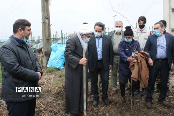 کاشت نهال در امامزاده صالح کوچکسرای قائم‌شهر