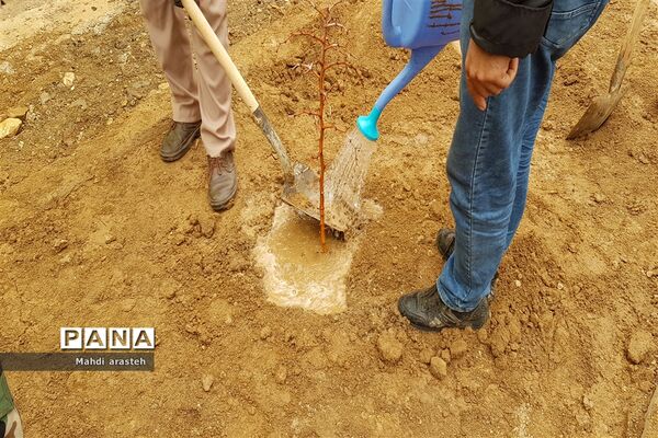 روزدرختکاری در شهرستان خوسف استان خراسان جنوبی