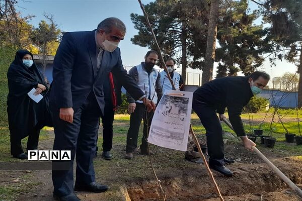 مراسم کاشت 66 درخت به یاد 66 شهید هنرستان ماندگار ایثار شریعتی منطقه 16