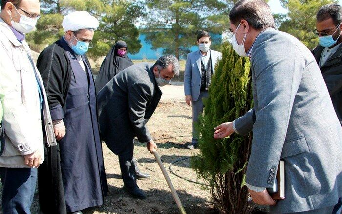 کاشت 1 هزار اصله نهال در اردوگاه دانش آموزی شهید بابایی قزوین