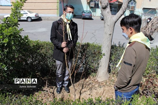 آیین کاشت درخت در آموزش و پرورش اسلامشهر