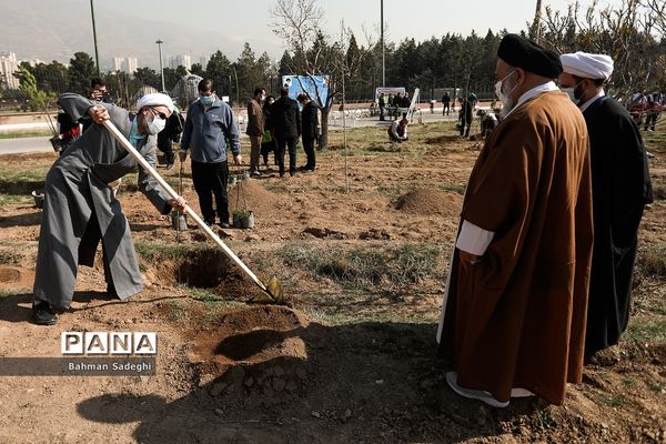 کاشت 1000 اصله نهال در روز درختکاری