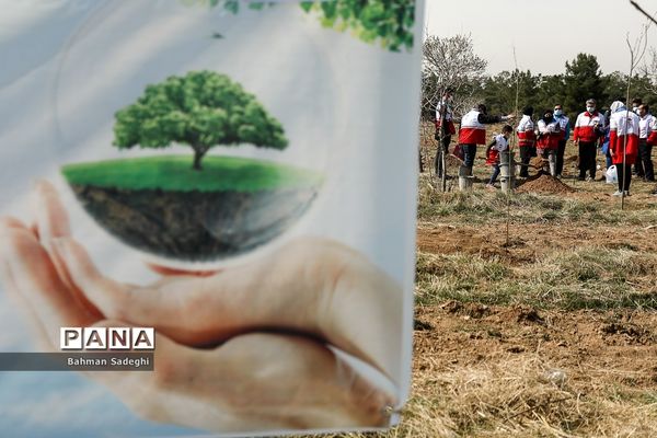کاشت 1000 اصله نهال در روز درختکاری