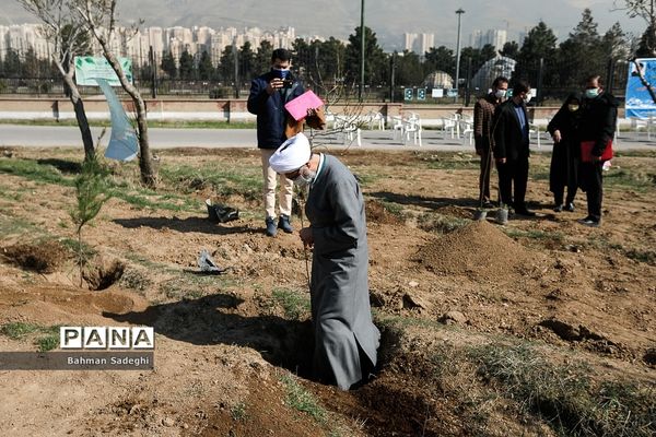 کاشت 1000 اصله نهال در روز درختکاری