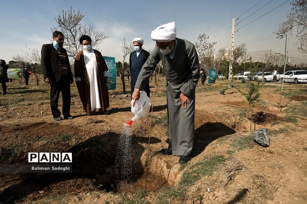 کاشت 1000 اصله نهال در روز درختکاری