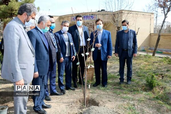 همایش استانی درختکاری توسط دانش آموزان ساعی در طرح ملی کوچ