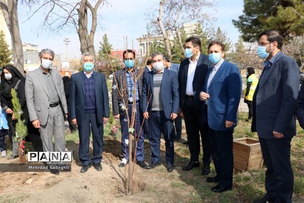 همایش استانی درختکاری توسط دانش آموزان ساعی در طرح ملی کوچ