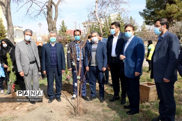 همایش استانی درختکاری توسط دانش آموزان ساعی در طرح ملی کوچ