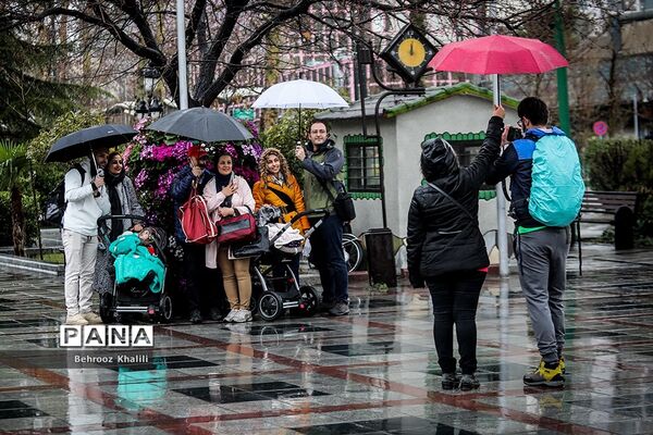 تهران بارانی در آخرین روزهای سال