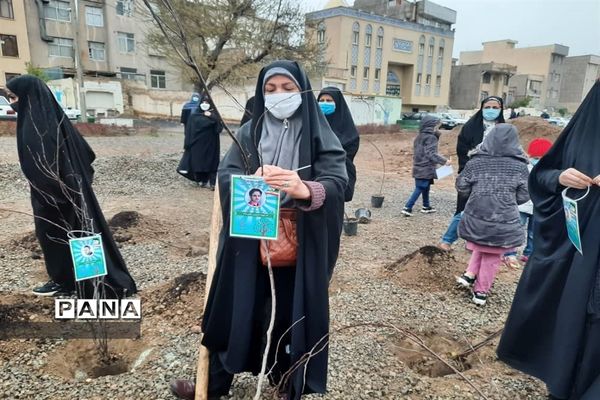 کاشت نهال ایثار به نیابت شهدا در روز شهدا