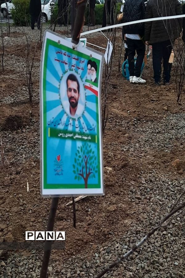 کاشت نهال ایثار به نیابت شهدا در روز شهدا