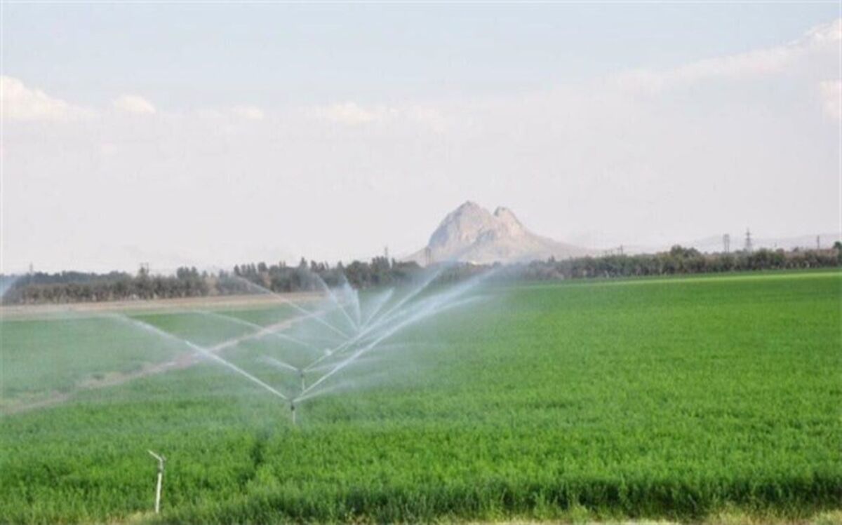 تحول آفرینی در بخش کشاورزی ارمغان دولت در آذربایجان غربی