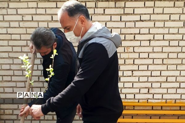 غرس نهال در هنرستان ایثار ناحیه یک شهرری به مناسبت هفته منابع طبیعی