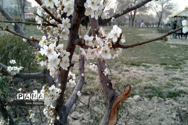 نخستین بهار قرن جدید