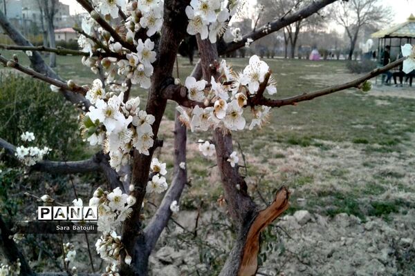 نخستین بهار قرن جدید