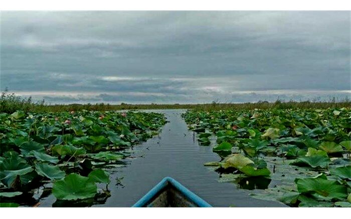 کاهش عمق آب زنگ خطری برای خشک شدن تالاب انزلی  است