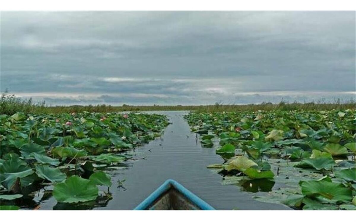 کاهش عمق آب زنگ خطری برای خشک شدن تالاب انزلی  است