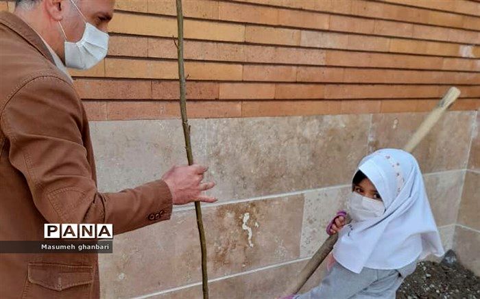 کاشت نهال به دست دانش‌آموزان دبستان حضرت معصومه(س) ناحیه یک شهرری