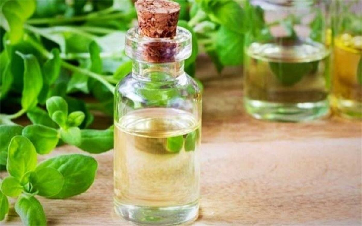مرزنجوش با خواصی که همه به آن نیاز داریم