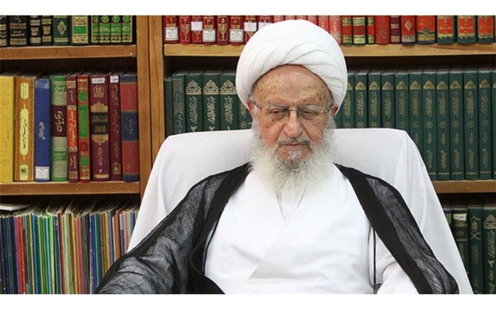 گلایه آیت الله مکارم شیرازی از جولان دلالان  ارز