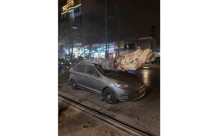 وزش باد شدید و تندباد در شیراز باعث مصدومیت ۱۸ نفر شد