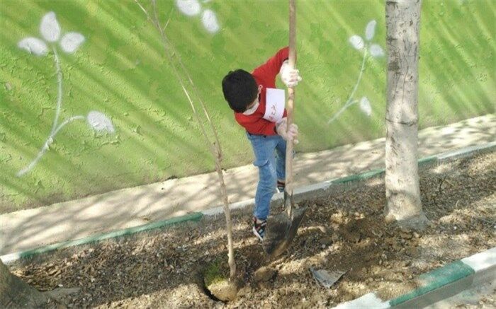 کاشت نهال توسط دانش‌آموزان موفق طرح ملی کوچ