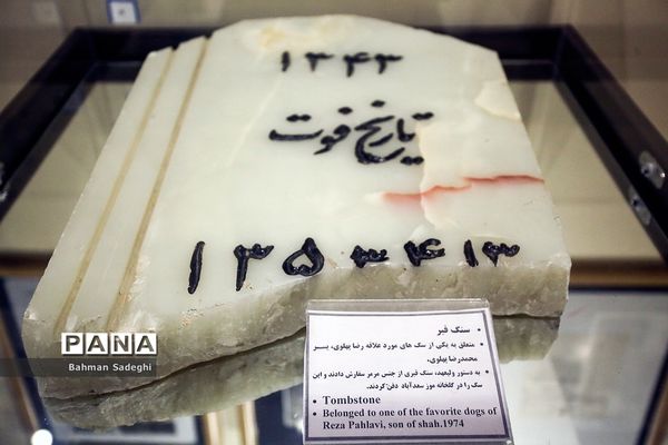 موزه آلبوم‌های سلطنتی و اسناد مجموعه فرهنگی تاریخی سعدآباد