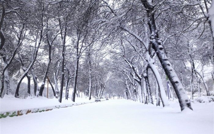 سرمای ۱۹ درجه زیر صفر در استان اردبیل