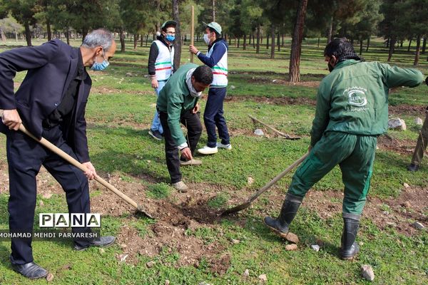 کاشت درخت سلامتی