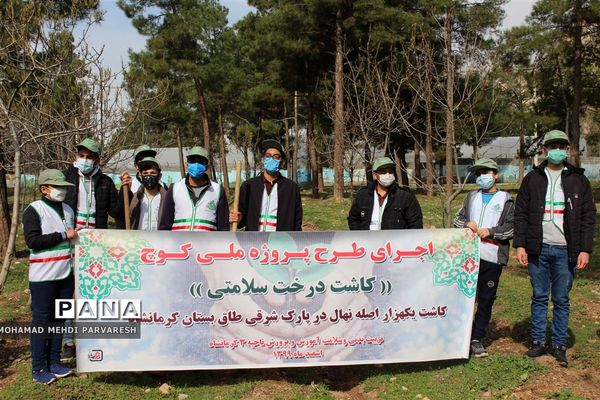 کاشت درخت سلامتی