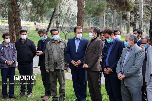 کاشت درخت سلامتی