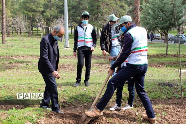 کاشت درخت سلامتی