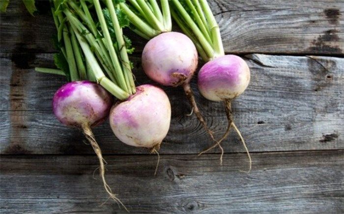 گیاهی موثر در درمان آرتروز و روماتیسم