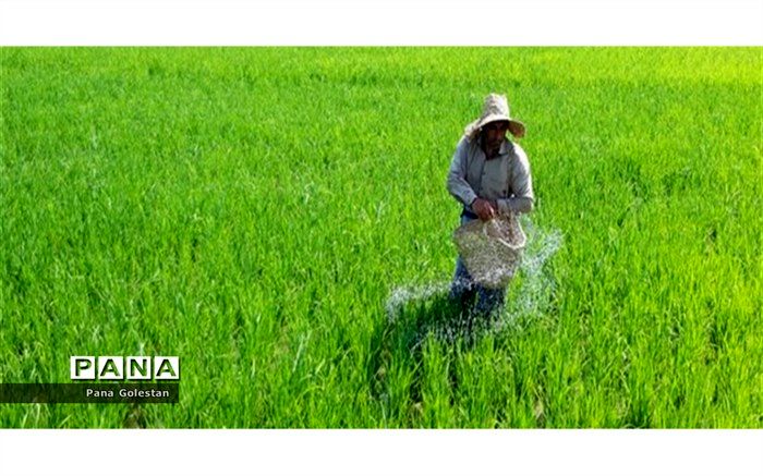 افزایش ۳ برابر حجم تولیدات محصولات کشاورزی گلستان