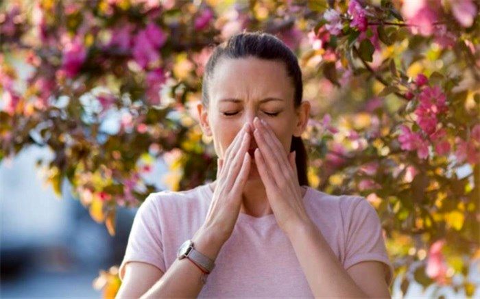 غذایی گیاهی برای کاهش علائم آلرژی بهاره!