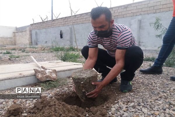 کاشت درخت  به مناسبت چهارشنبه سوری در اهواز