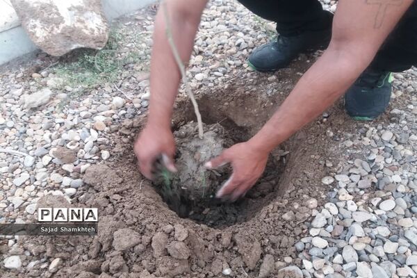 کاشت درخت  به مناسبت چهارشنبه سوری در اهواز