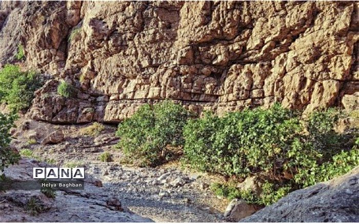 دره آل؛  مکانی جذاب برای علاقه مندان  به طبیعت